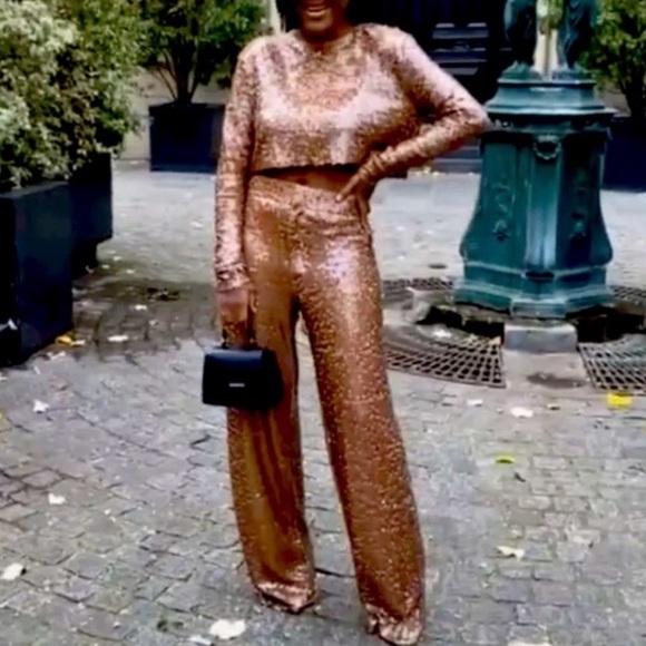 ZARA Copper Brown Sequin Pleated Wide Leg Pants - Picture 3 of 15